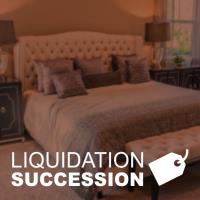 liquidation succession image 2